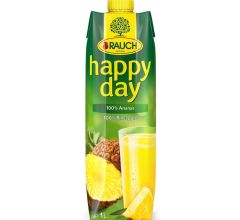 RAUCH Fruchtsäfte Deutschland GmbH Happy Day Ananassaft 100%